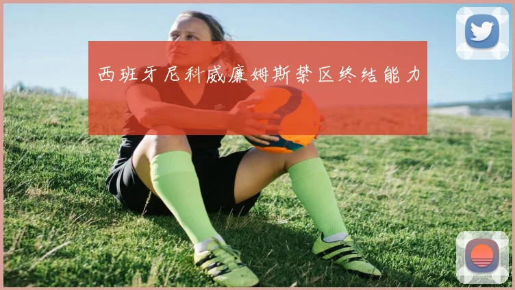 西班牙尼科威廉姆斯禁区终结能力