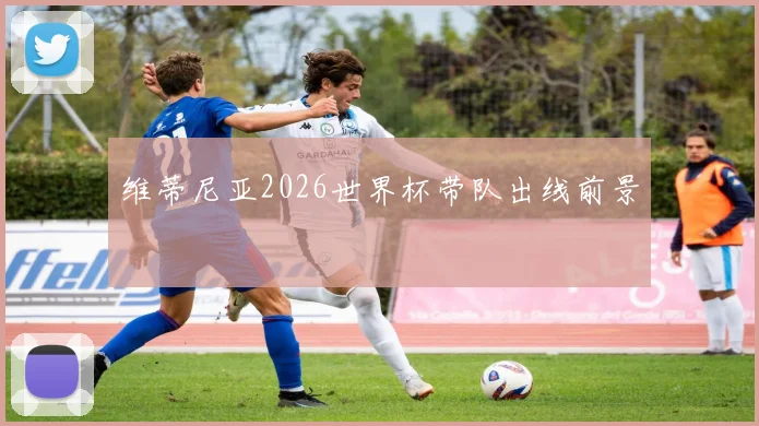 维蒂尼亚2026世界杯带队出线前景