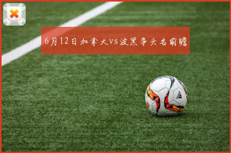 6月12日加拿大vs波黑争头名前瞻