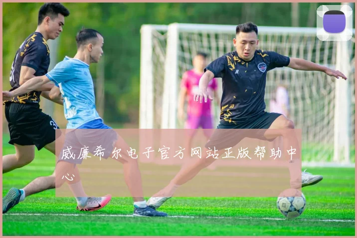 威廉希尔电子官方网站正版帮助中心