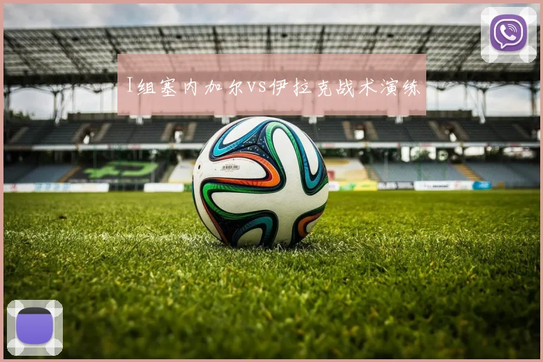 I组塞内加尔vs伊拉克战术演练