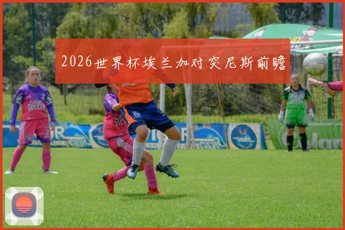 2026世界杯埃兰加对突尼斯前瞻